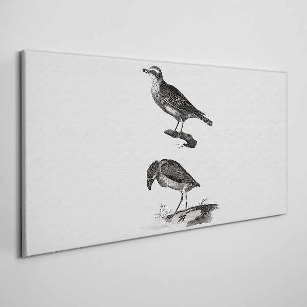 Tableau sur toile Oiseaux sur une branche
