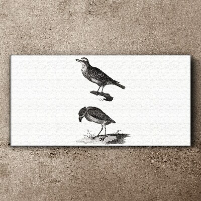 Tableau sur toile Oiseaux sur une branche