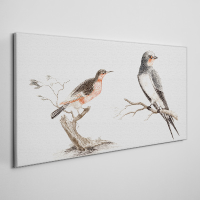 Tableau toile imprimée Oiseaux sur les branches
