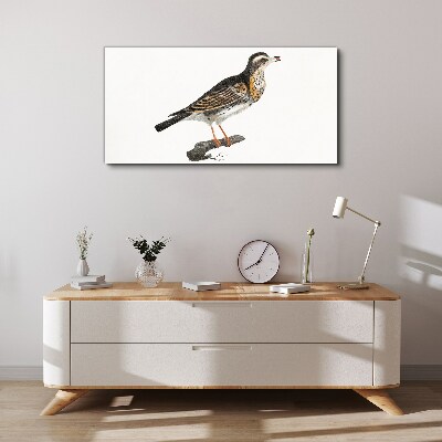 Tableau sur toile Un oiseau sur une branche