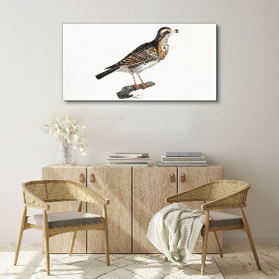 Tableau sur toile Un oiseau sur une branche