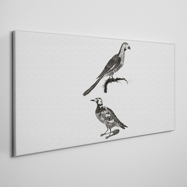 Tableau imprimé sur toile Oiseaux sur une branche