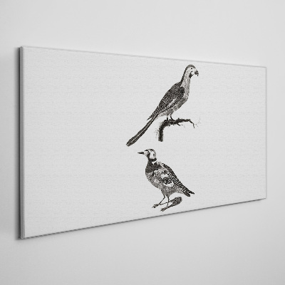 Tableau imprimé sur toile Oiseaux sur une branche
