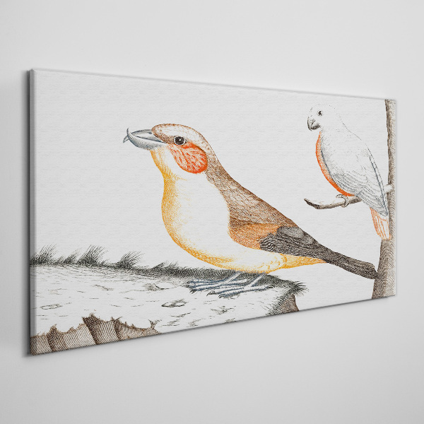 Tableau sur toile Duo d'oiseaux sur une branche