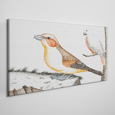 Tableau sur toile Duo d'oiseaux sur une branche
