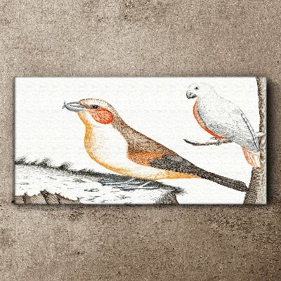 Tableau sur toile Duo d'oiseaux sur une branche