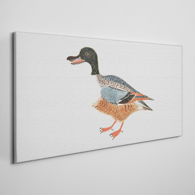 Tableau toile imprimée Un canard dans un manteau coloré