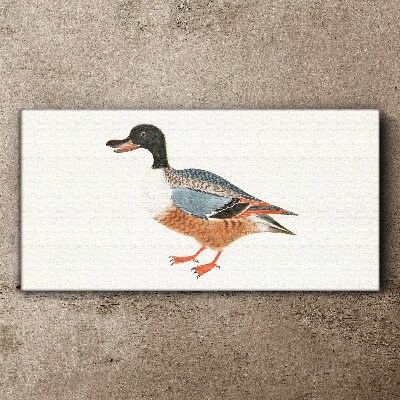 Tableau toile imprimée Un canard dans un manteau coloré