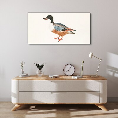 Tableau toile imprimée Un canard dans un manteau coloré