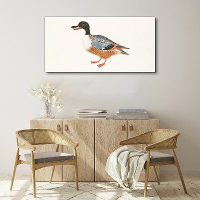 Tableau toile imprimée Un canard dans un manteau coloré
