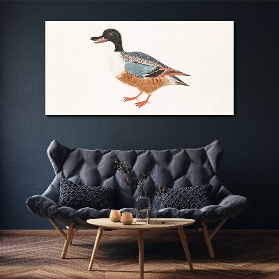Tableau toile imprimée Un canard dans un manteau coloré