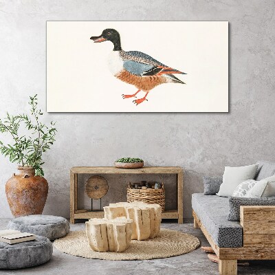 Tableau toile imprimée Un canard dans un manteau coloré