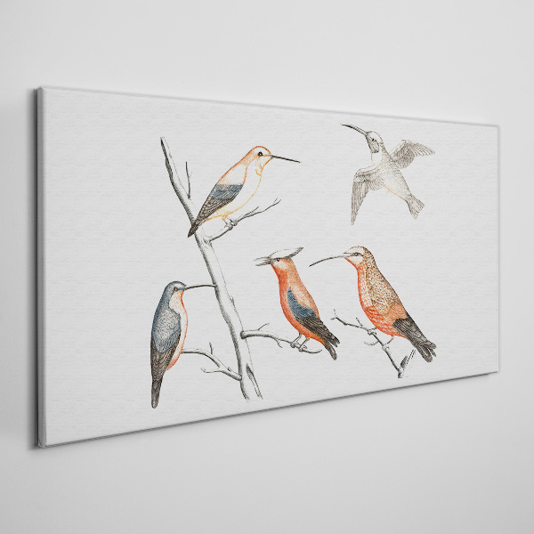 Tableau imprimé sur toile Oiseaux colorés sur une branche
