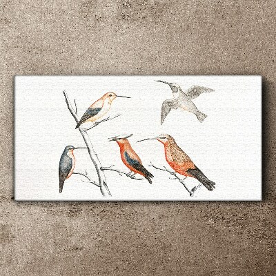 Tableau imprimé sur toile Oiseaux colorés sur une branche