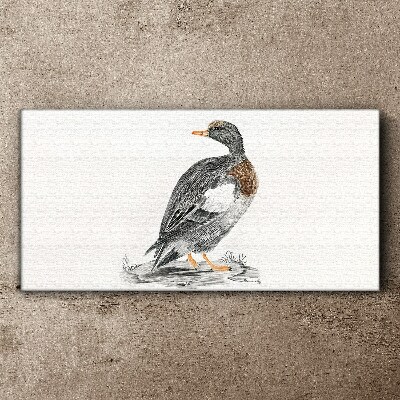 Tableau imprimé sur toile Un canard sur fond blanc