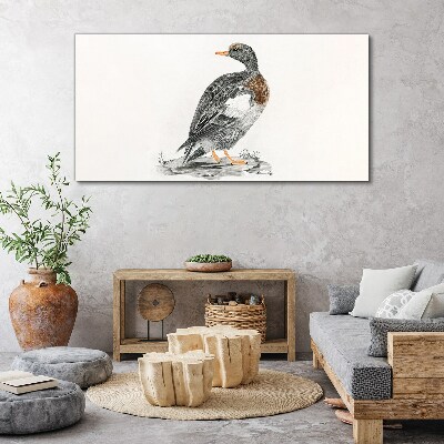 Tableau imprimé sur toile Un canard sur fond blanc