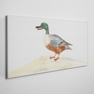 Tableau imprimé sur toile Un canard sur un fond de couleurs délicates