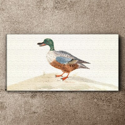 Tableau imprimé sur toile Un canard sur un fond de couleurs délicates