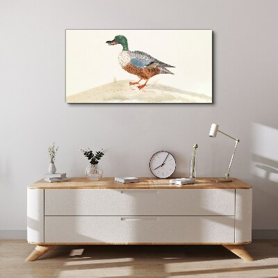 Tableau imprimé sur toile Un canard sur un fond de couleurs délicates