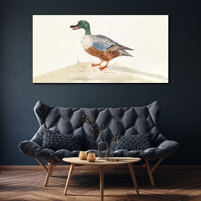 Tableau imprimé sur toile Un canard sur un fond de couleurs délicates
