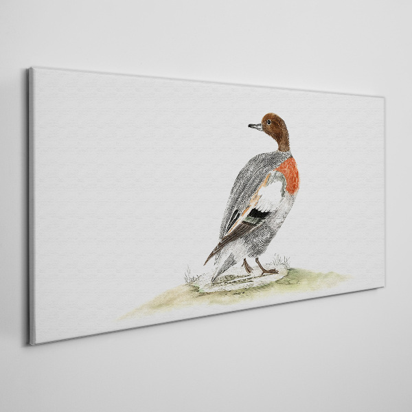 Tableau imprimé sur toile Canard sur fond naturel