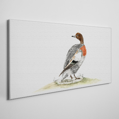 Tableau imprimé sur toile Canard sur fond naturel