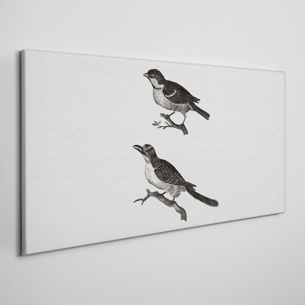 Tableau sur toile Oiseaux sur une branche
