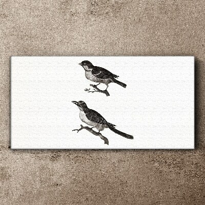 Tableau sur toile Oiseaux sur une branche