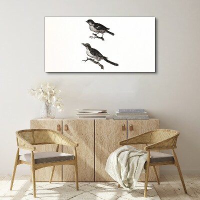 Tableau sur toile Oiseaux sur une branche