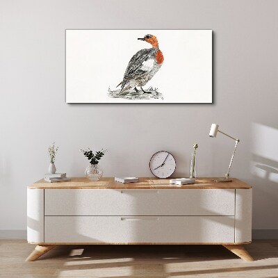 Tableau toile imprimée Canard à cou rouge sur fond blanc