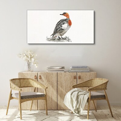Tableau toile imprimée Canard à cou rouge sur fond blanc