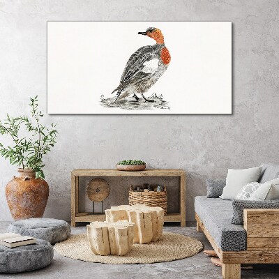 Tableau toile imprimée Canard à cou rouge sur fond blanc