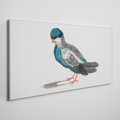 Tableau toile imprimée Oiseau coloré sur fond blanc
