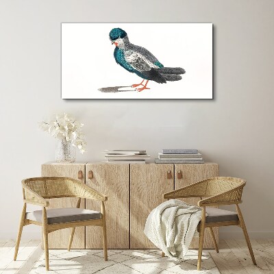Tableau toile imprimée Oiseau coloré sur fond blanc