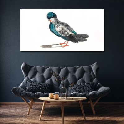 Tableau toile imprimée Oiseau coloré sur fond blanc