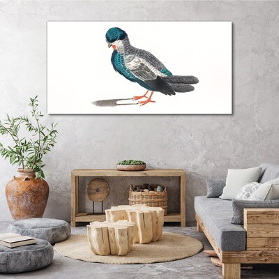 Tableau toile imprimée Oiseau coloré sur fond blanc
