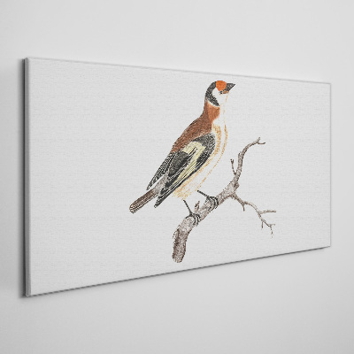 Tableau toile imprimée Un oiseau sur une branche
