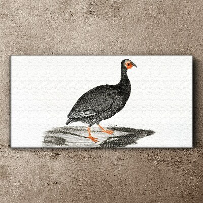 Tableau sur toile Oiseau noir sur fond blanc