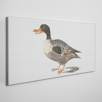 Tableau imprimé sur toile Canard de style naturaliste