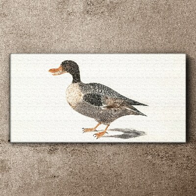 Tableau imprimé sur toile Canard de style naturaliste