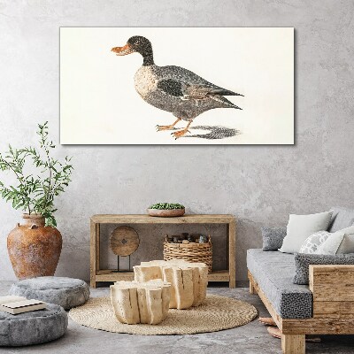 Tableau imprimé sur toile Canard de style naturaliste