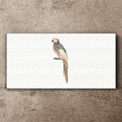 Tableau imprimé sur toile Un oiseau sur une branche