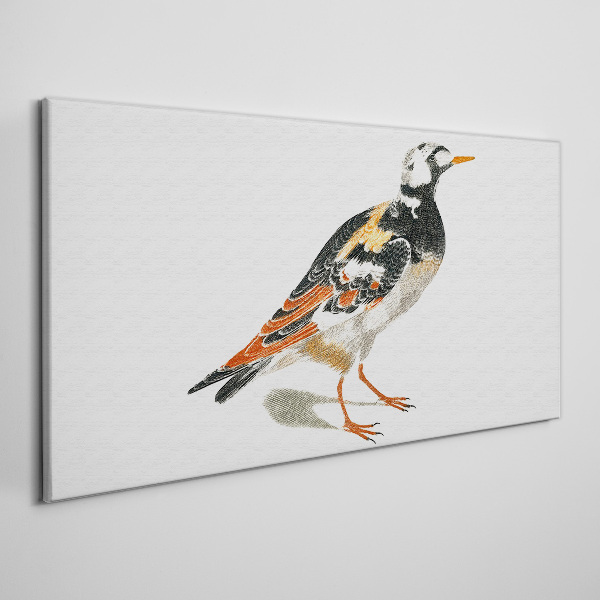 Tableau sur toile Oiseau sur fond blanc