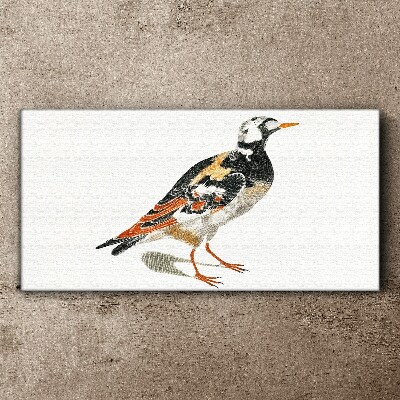 Tableau sur toile Oiseau sur fond blanc