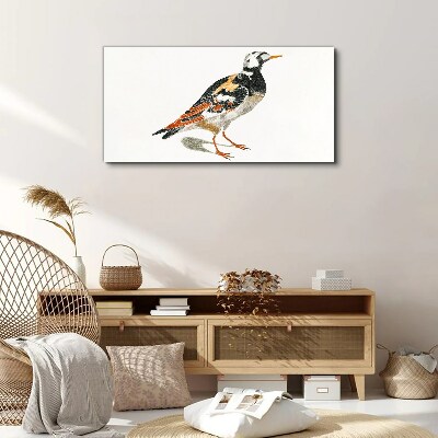 Tableau sur toile Oiseau sur fond blanc