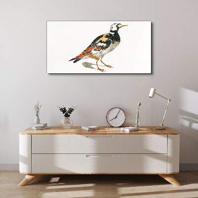 Tableau sur toile Oiseau sur fond blanc