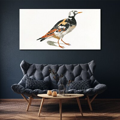 Tableau sur toile Oiseau sur fond blanc