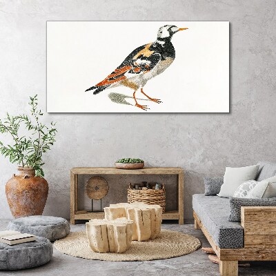 Tableau sur toile Oiseau sur fond blanc
