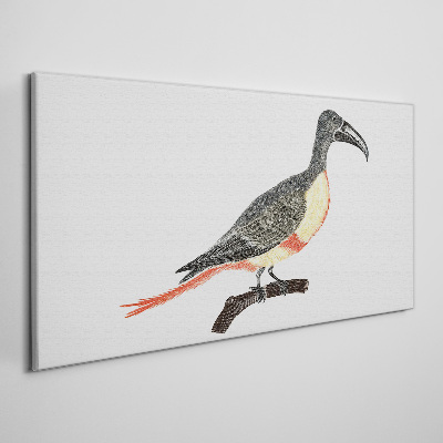 Tableau imprimé sur toile Toucan sur une branche
