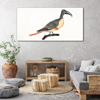 Tableau imprimé sur toile Toucan sur une branche